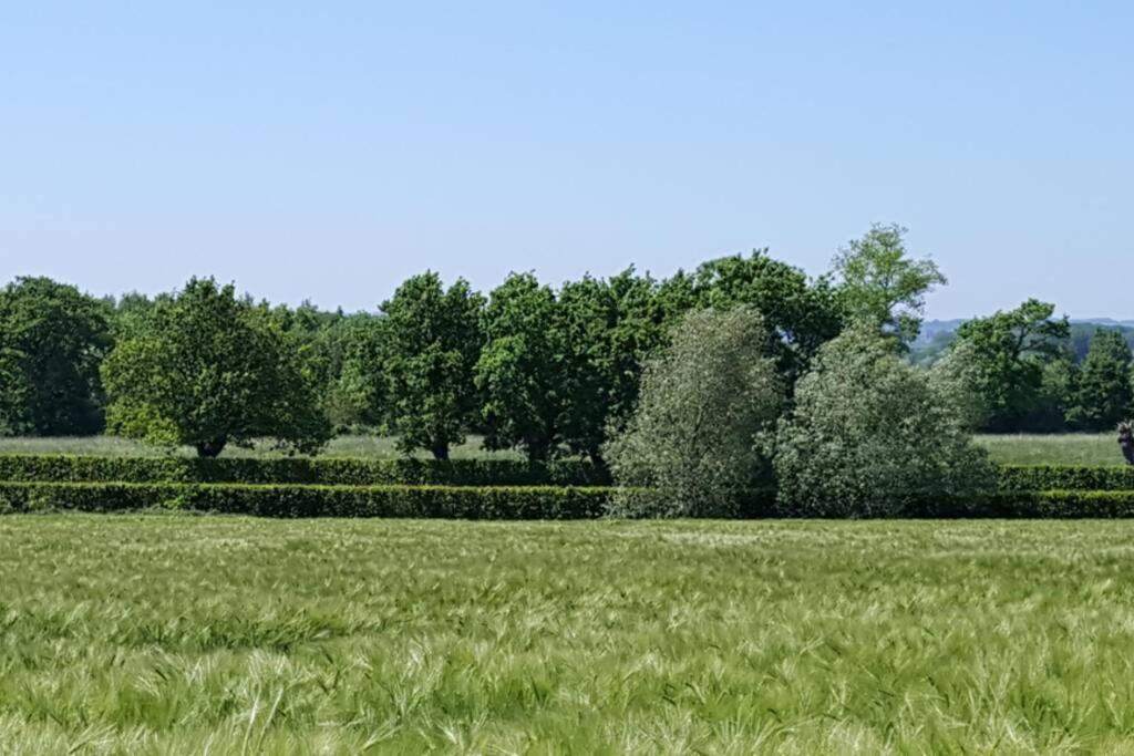 Gite Du Bocage Buysscheure エクステリア 写真
